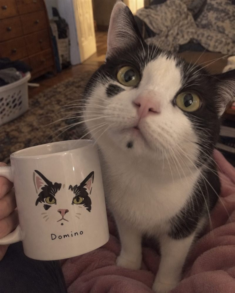 Color-block realistic pet portrait mug shown beside the original black and white cat