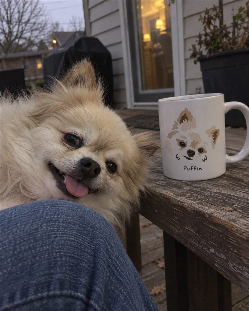 Color-block realistic pet portrait mug shown beside the original dog