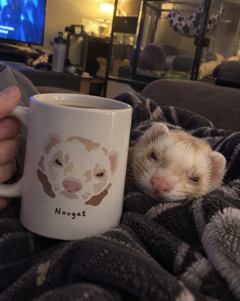 Color-block realistic pet portrait mug shown beside the original ferret