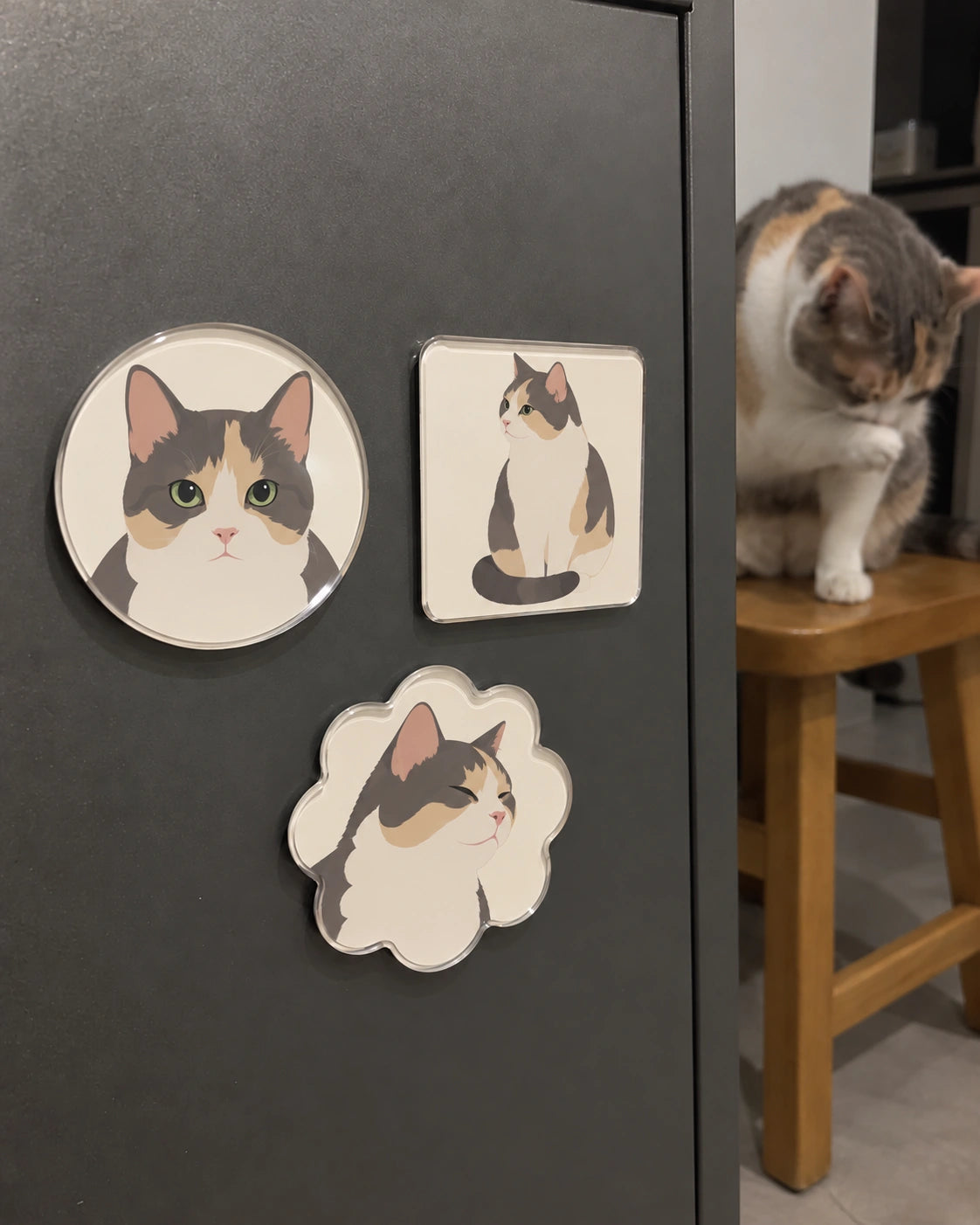 Three personalized calico cat magnets on a refrigerator
