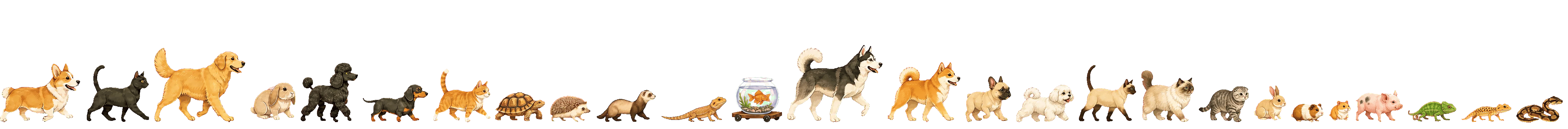 Dogs, cats, rabbits, small pets, lizards, a snake and other companions moving to the right